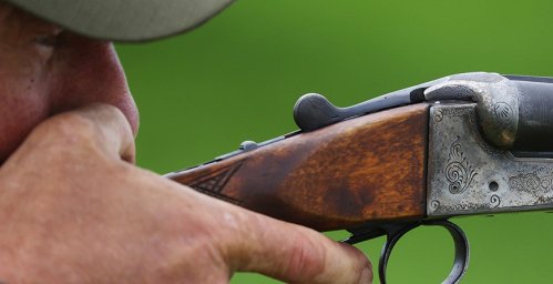 Весенний сезон охоты на пернатую дичь открывается в Беларуси