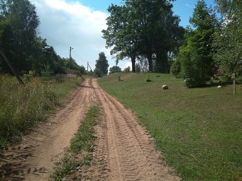 д. Писаревщина (белор. д. Пісараўшчына)